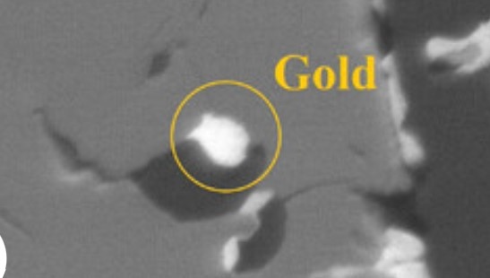 Български учен откри злато на Антарктида Десетилетия наред специалисти от